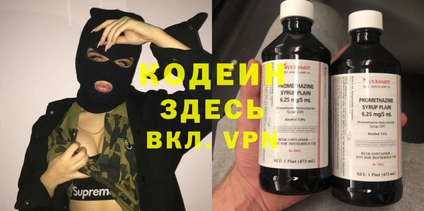 индика Заводоуковск