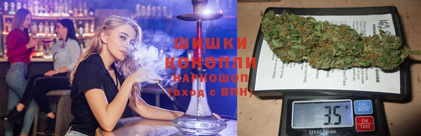 сатива Елизово
