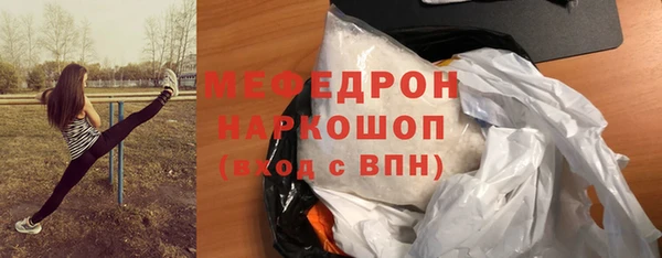 стафф Ельня