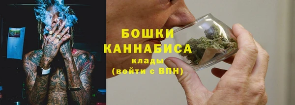 стафф Ельня