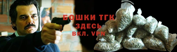 стафф Ельня