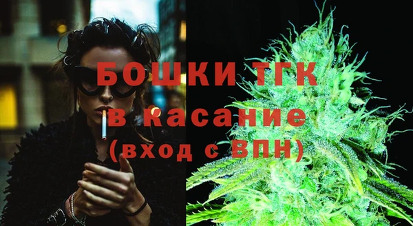 сатива Елизово