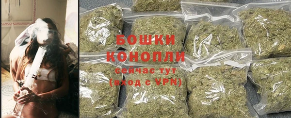 сатива Елизово