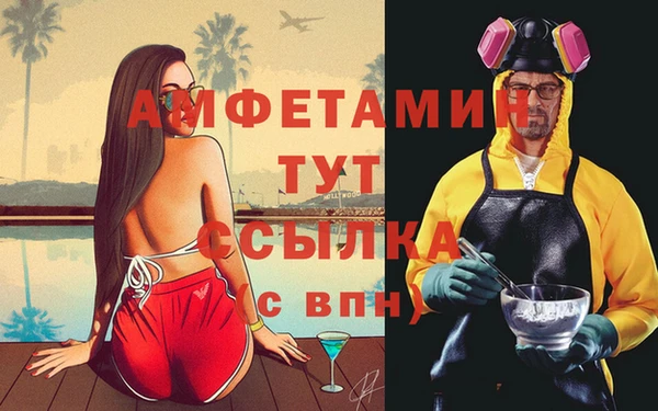 стафф Ельня