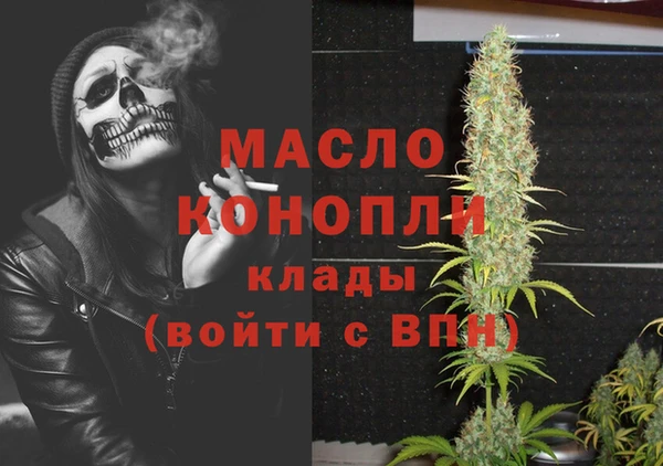 стафф Ельня