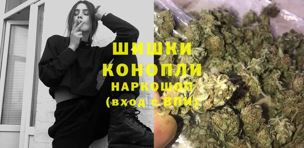 сатива Елизово