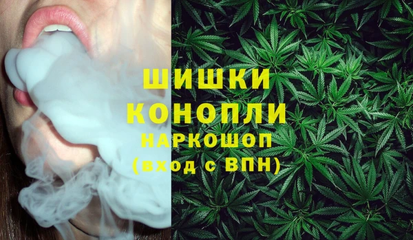 сатива Елизово