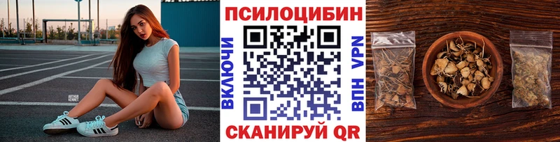 Купить закладки  Первомайск  Галлюциногенные грибы прущие грибы 